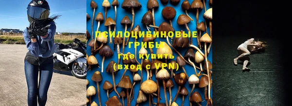 дживик Балахна